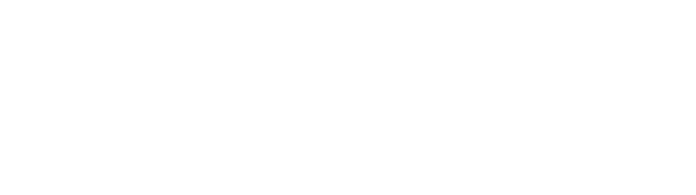 Hissaria Logo